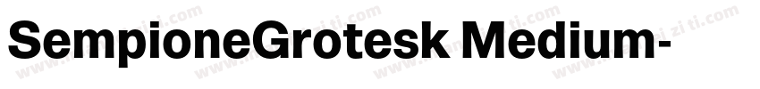 SempioneGrotesk Medium字体转换